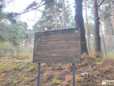 GastroRuta - Loma de Enmedio alrededor del Pico de Bañaderos; excursiones montaña valle de el paular